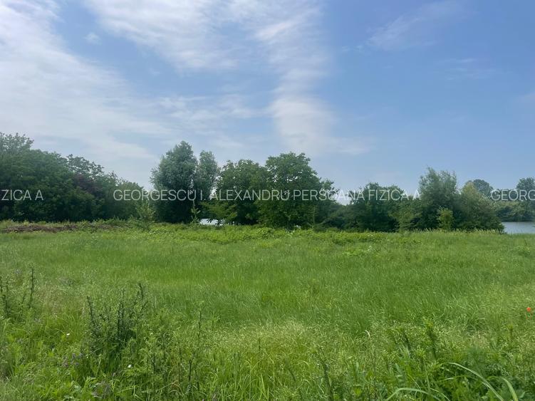 Damaroaia-Coralilor Deschidere Lac Grivita - 6