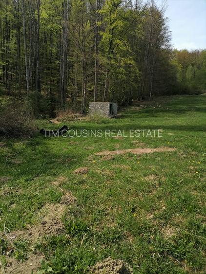 Vanzare teren exceptional, Valea Doftanei, Florei-Secaria, 22000mp, 250 000 euro - 9