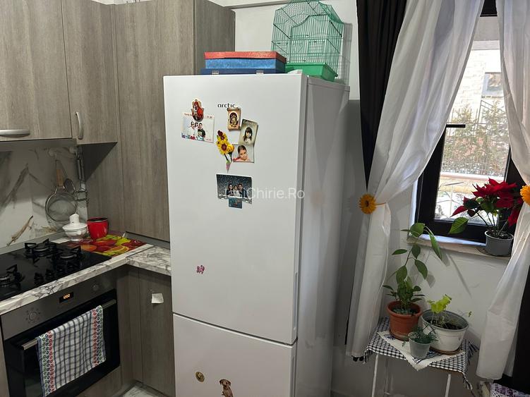 Apartament cu 1 camera Visan - 6