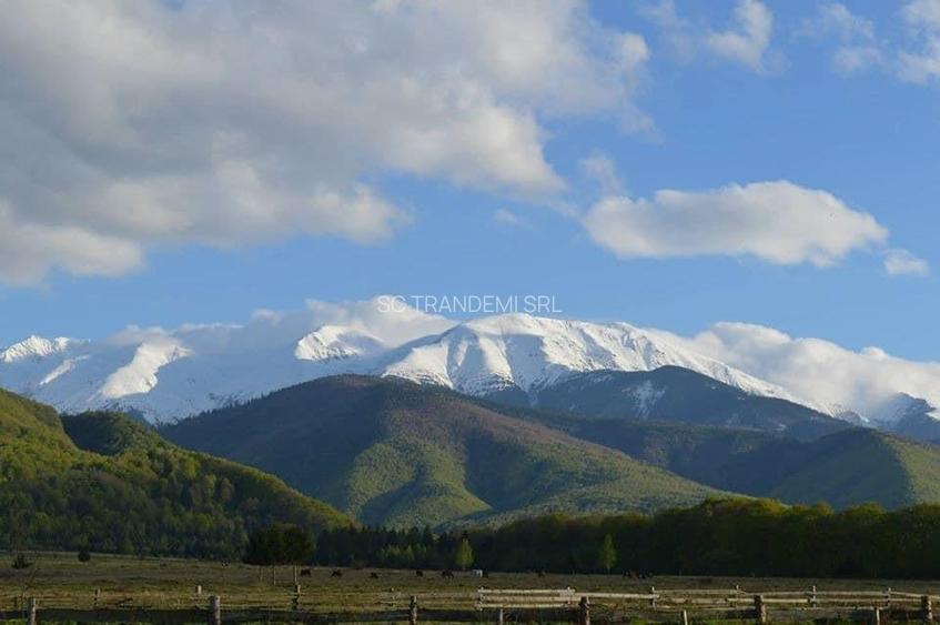 Teren intravilan 2500mp  pe Valea Avrigului,optim casa de vacanta - 10