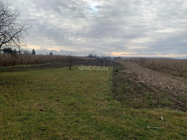 🏡 CASA BATRANEASCA + TEREN IN GALANESTI - 5