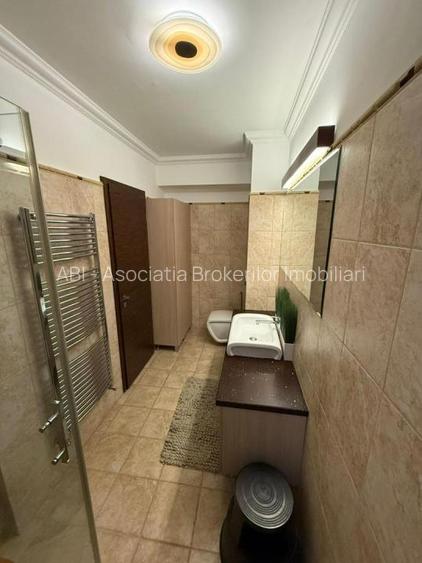 Herastrau Kiseleff Ap 3 cam deosebit - 17