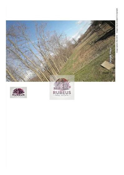 Oportunitate rară! 1 ha pădure Corcova – teren cu potențial real - 3