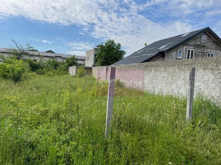 Teren Ghencea- Dantelei- Darvari. - 2