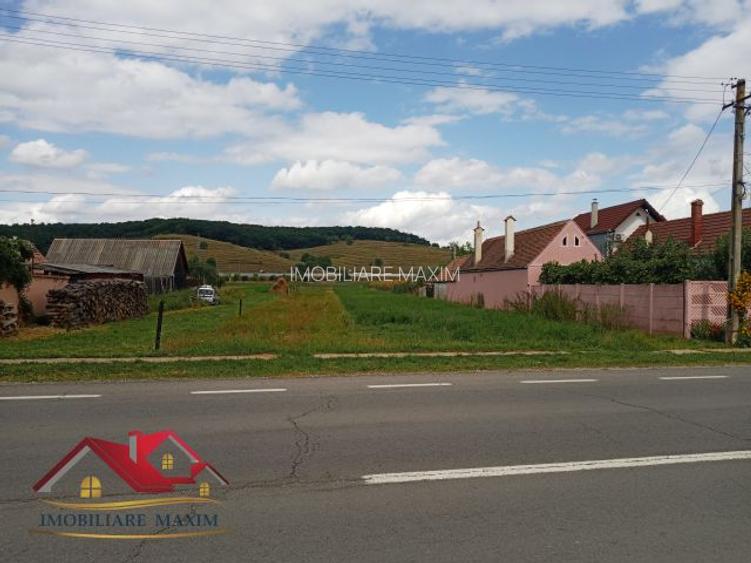 Imobiliare Maxim - teren intravilan - 3