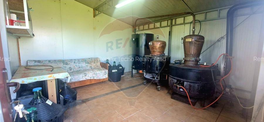 TEREN Investitie livada cu 116 pomi fructiferi in Comuna Livada - 7