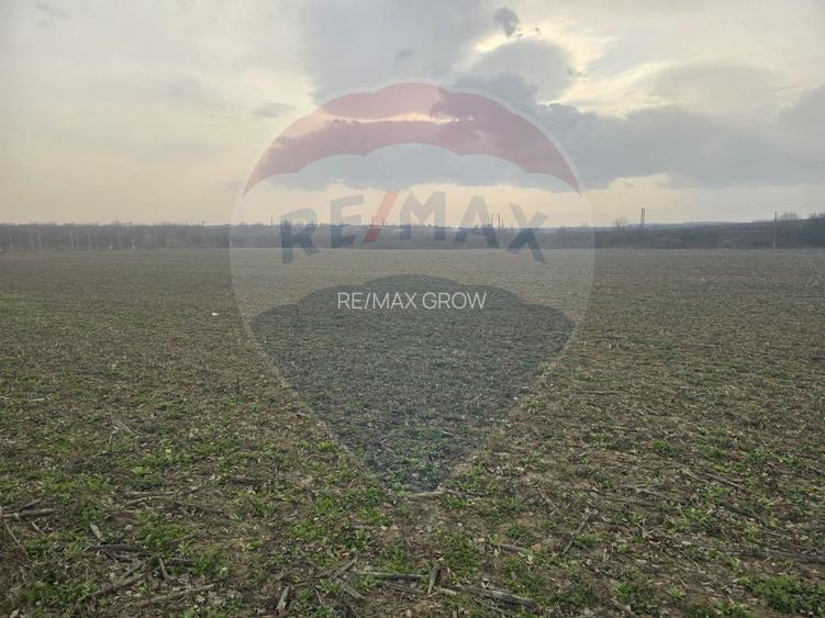 Teren intravilan 9911mp de vânzare, Berești-Bistrița/ E85 - 4