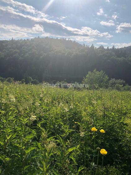 Teren Intravilan Predeal - 2