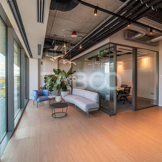 Birouri premium in Sibiu–Spatii flexibile moderne pentru companii - 10