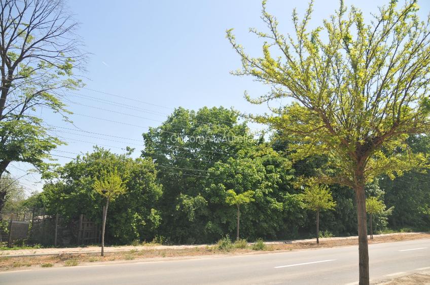  Teren 15000 mp,intravilan, deschidere 76 ml la DN 5A , com.  Hotarele,   - 3