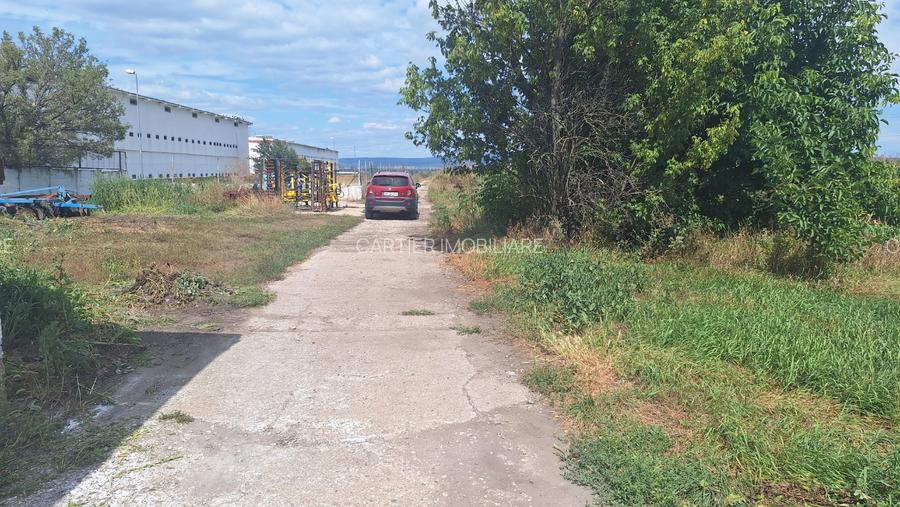 Vand teren 1.5 ha intravilan industrial Halchiu - 2