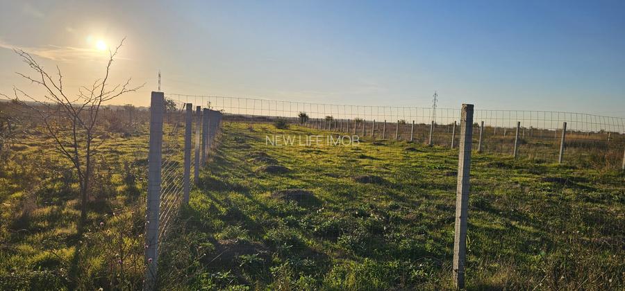Veterani ! 1000 mp , 2 loturi - 4