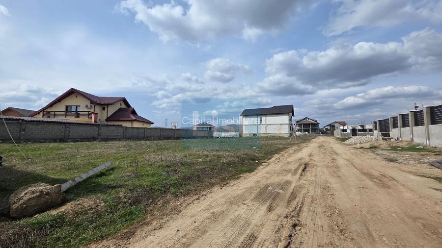 Teren 1000 mp, Carrefour - 3