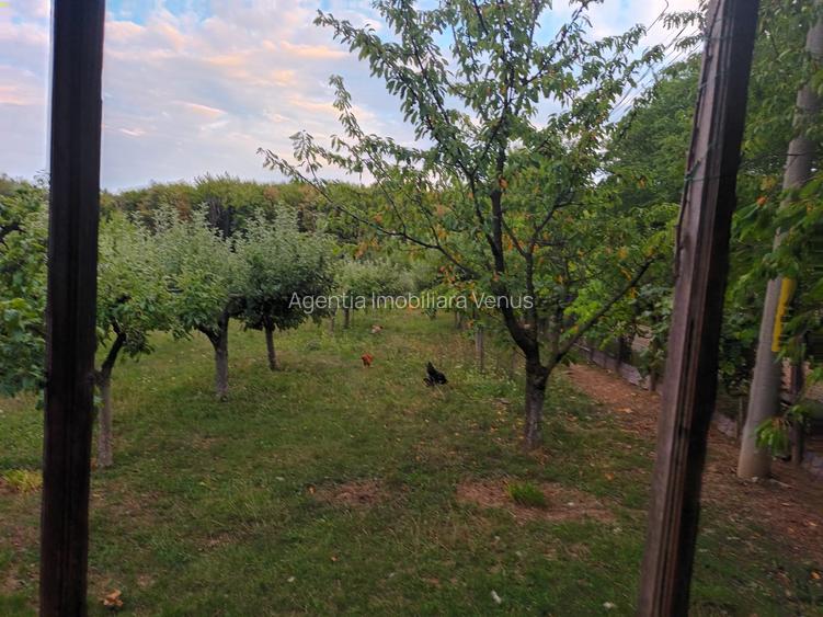 Casa cu 1ha teren la Baisa - 2