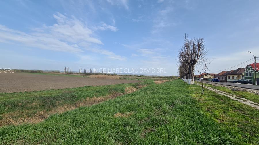 TEREN INTRAVILAN DE 2134 MP CU DRUM PROPRIU ÎN PREJMER – IDEAL PENTRU INVESTIȚIE - 8