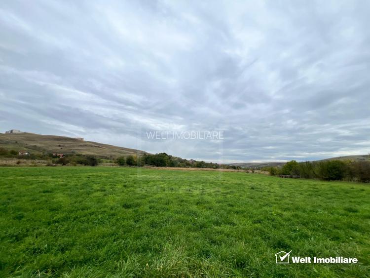 Teren 800mp pt casa individuala, PUZ si HCL colonia Sopor - 4