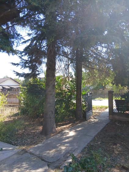 Casa cu teren mare in Bolintin Deal
