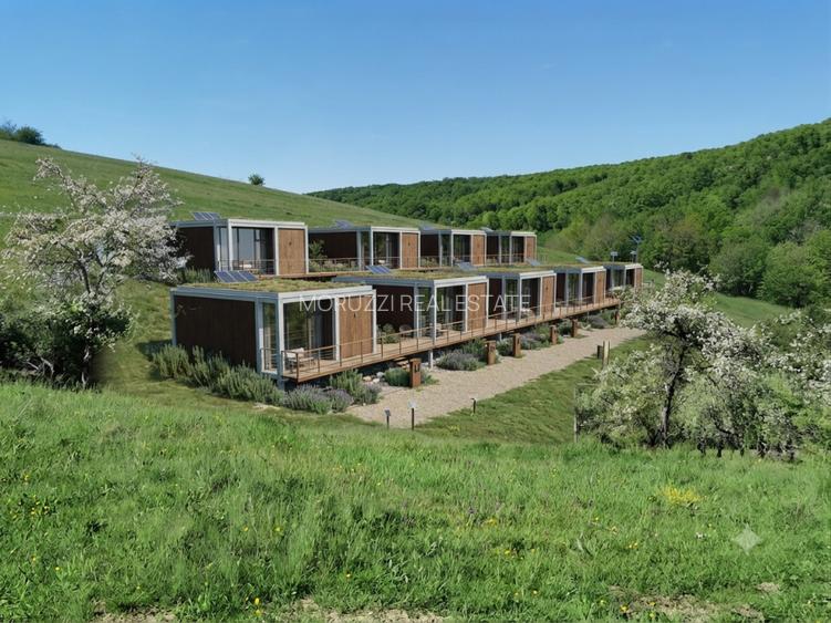 Teren de Vânzare, Budeasa Mica – Potrivit pentru Casă de Vacanță sau Investiție - 2