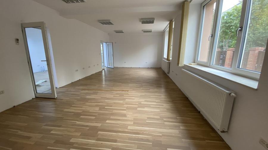 De inchiriat vila zona Take Ionescu,ISHO