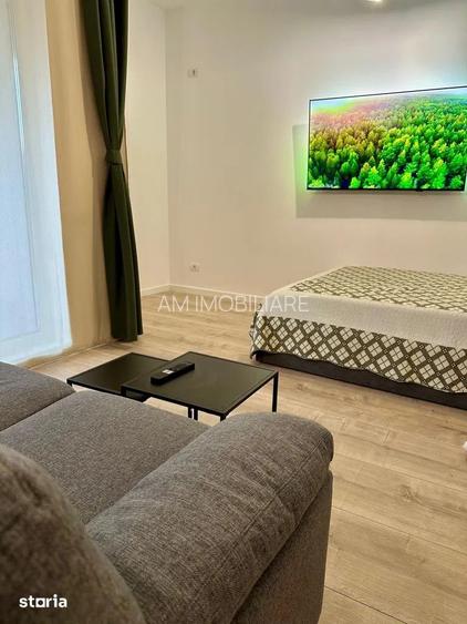 GARSONIERA GHICA APARTMENTS - CURTE PROPRIE 16 MP, PET FRIENDLY - 3