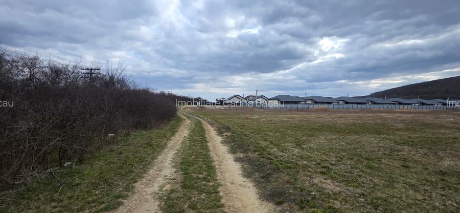 Teren intravilan 2.500 mp- Hemeiuș - 2