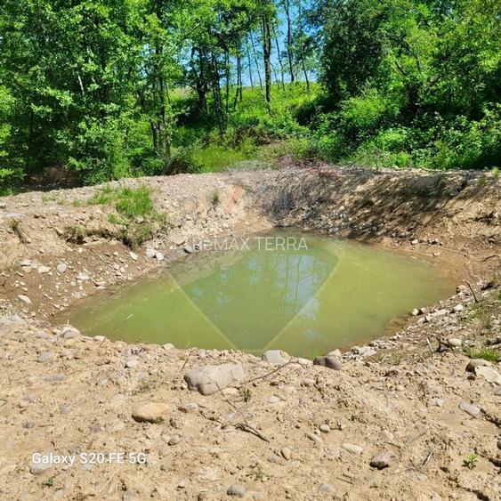 Oază de liniște – teren de vânzare 6.725 mp - 5