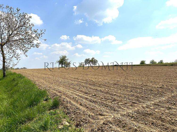 Teren Intravilan de Vânzare, Cetariu, 5450mp - 3