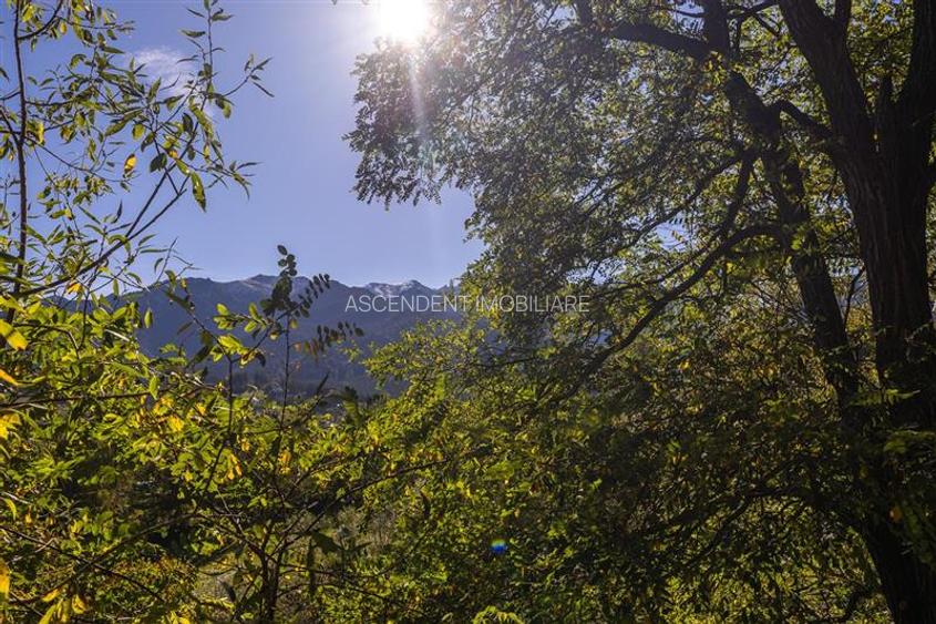 FILM! Proprietate notabila,ocazie personalizare, aprecat areal: Bran, Brasov - 17