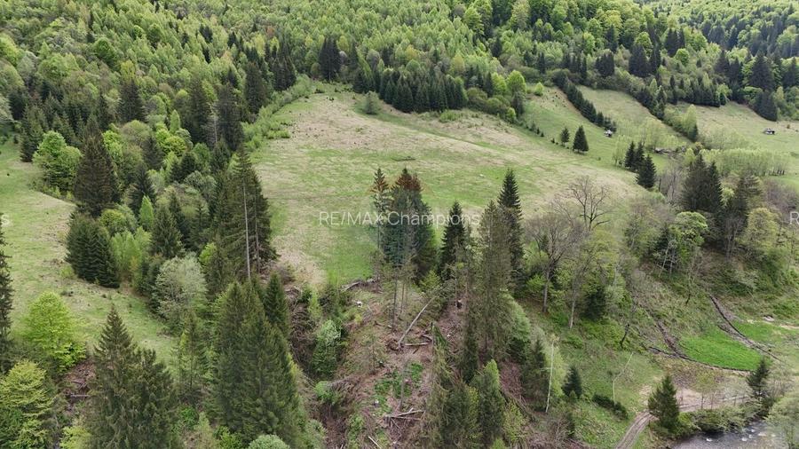 Extravilan + Intravilan | Sătic-Rucăr | Cadru natural | Turistic - 9