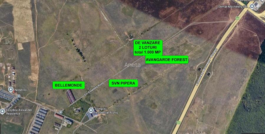 Teren Intravilan, Voluntari, Elisabeta Rizea, 1.000 mp, 2 loturi - 2