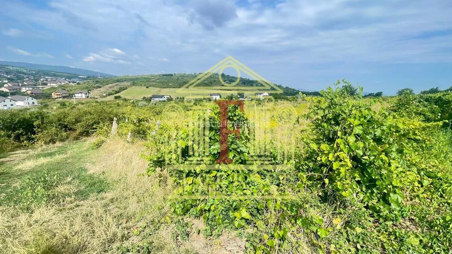 Teren intravilan  Tomesti! - 3