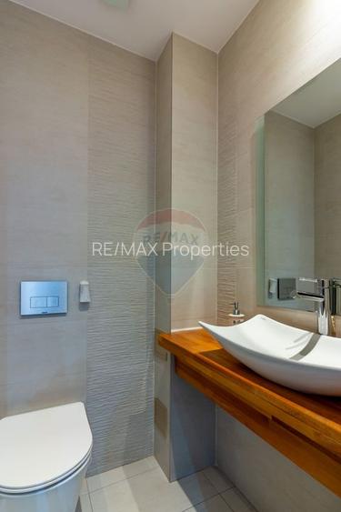 Casă / Vilă + cladire birouri de vanzare in Aviatiei, venit pasiv - 17