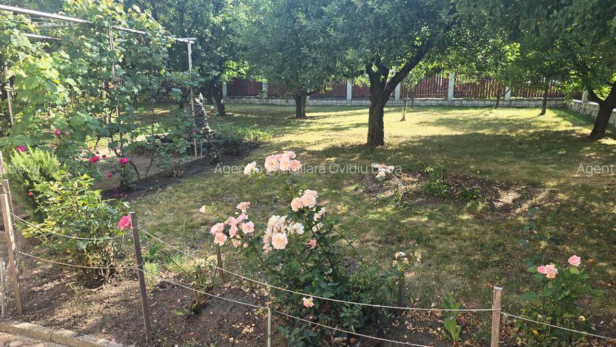 Vand proprietate in Deva. zona Ceangai, compusa din 2 imobile (case de locuit), - 2