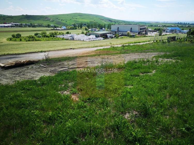 Oportunitate ! Teren intravilan 650 mp, Calea Romanului, Piatra Neamț - 9