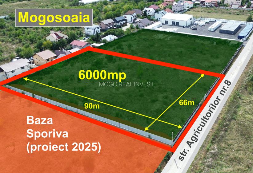 MOGOSOAIA - Teren construibil cu PUZ 2024 / 6000mp - 6
