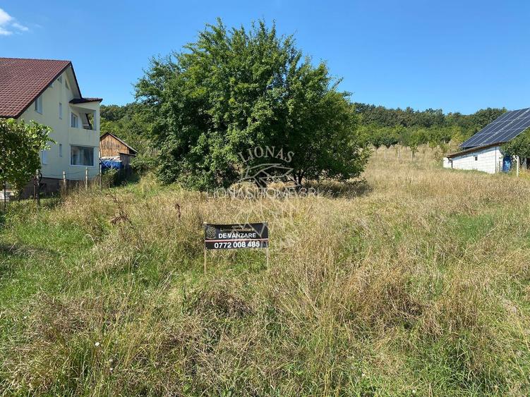 Teren intravilan 1300 mp-Viile cu Pomi-Unirea-Exclusiv - 3