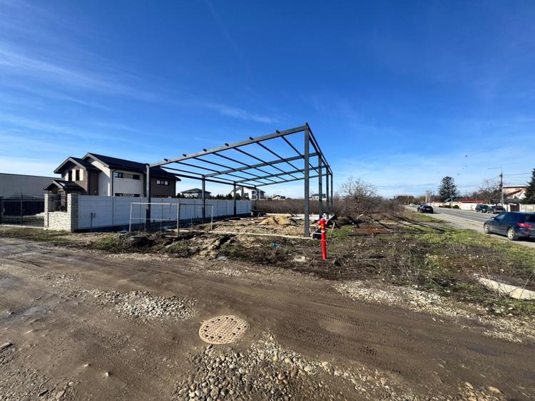 Teren cu dubla deschidere, autorizatie magazin si constructie metalica, Carcea - 3