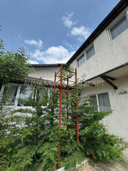 23 August - Pensiune 10 camere afacere la cheie - 35