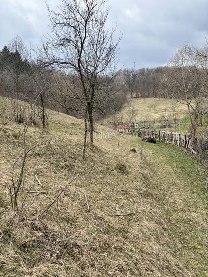 Teren Salatrucel Valcea intravilan cu curent trifazat 380V, faneata si padure - 7