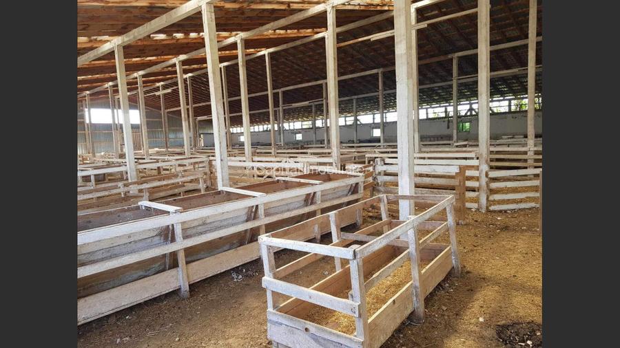 Ferma langa Oravita 5600 mp construiti si teren 24281 intravilan - 7