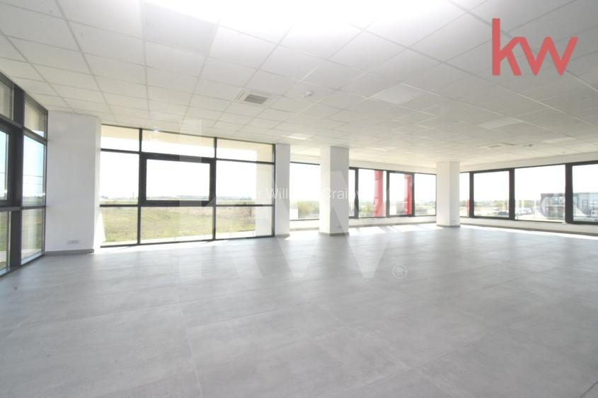 Hale moderne si spatii de birouri de inchiriat, zona aeroportului Craiova - 12