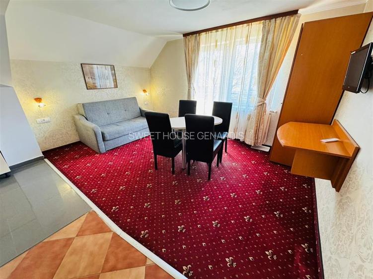 Casuta Cocheta in Inima Branului - 19