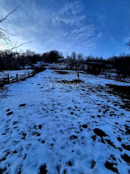 Teren intravilan Simon/Bran, 4318 mp , casuta intabulata, utilitati - 23