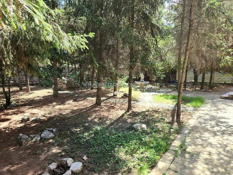 Baneasa Teisani vila 7 camere teren 1000 mp - 5