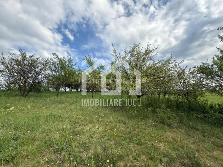 Teren intravilan construibil – 2.100 mp | Căianu - 7