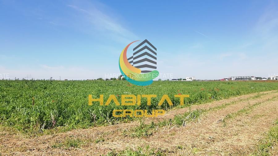 Teren 495 mp | Malul lacului | Rate 24 luni | Frumusani - 5