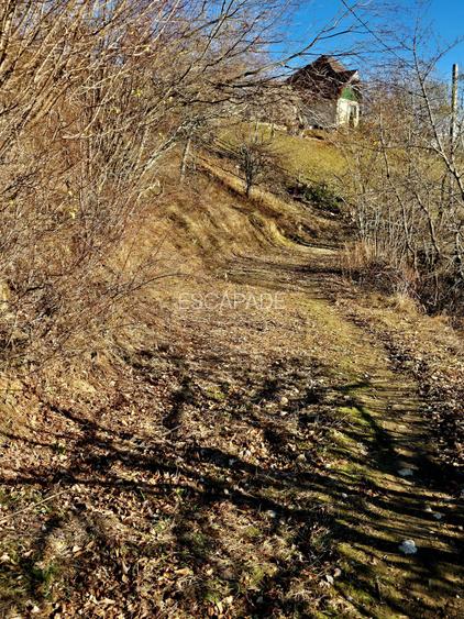 Teren de vânzare în sat Măgura/ Brasov– loc pentru familie, liniște și suflet - 31