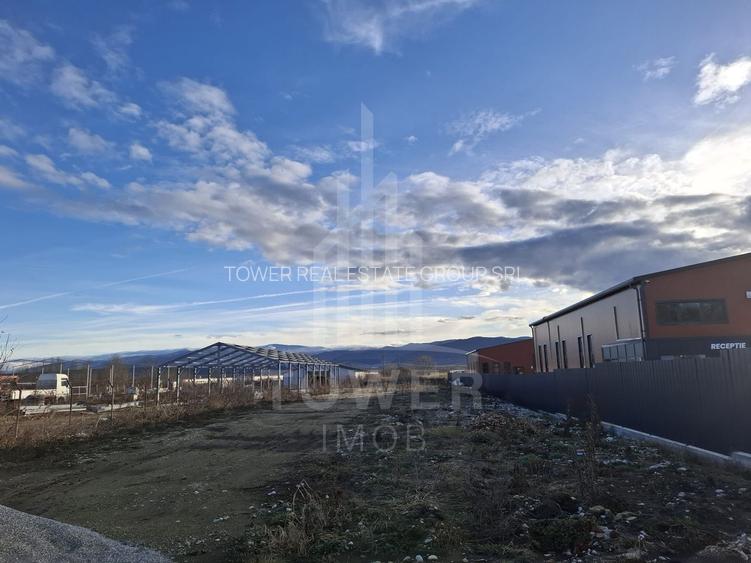 Teren intravilan la intrare in Cristian, pentru constructii industriale - 2