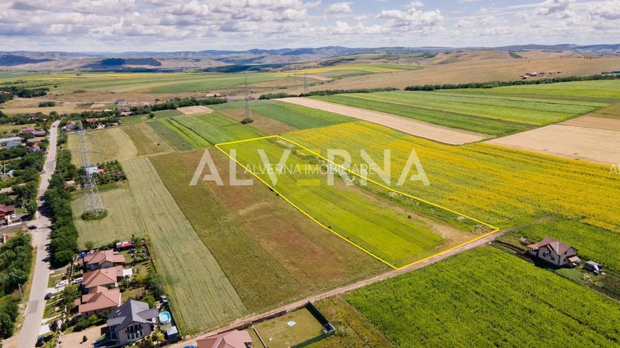 INVESTITIE! Teren constructii 11.600 mp | front 45.7m | Jucu de Sus - 4