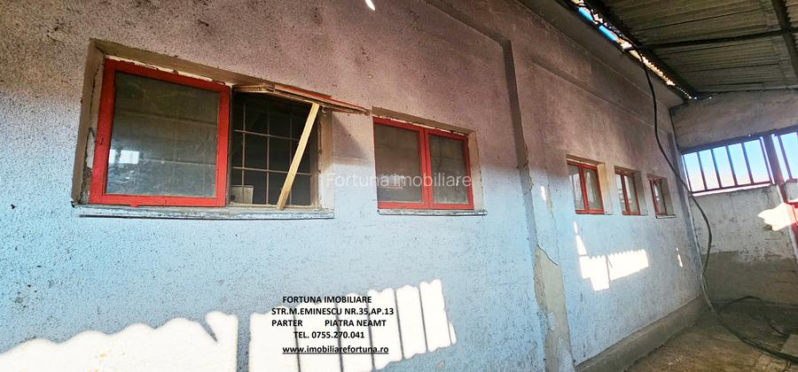 Hala si teren , Piatra Neamt - 6